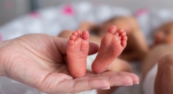 Saúde atua na assistência humanizada a bebês de baixo peso